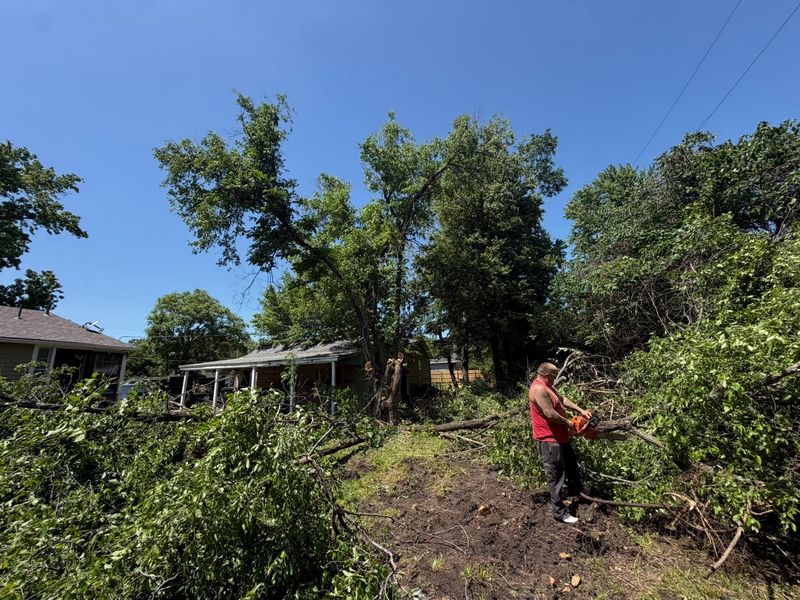 Worker cutting up downed tree limbs after a storm