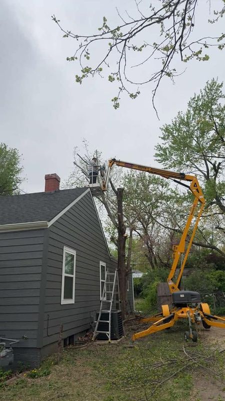 Worker taking a tree down in sections from a lift beside a gray house